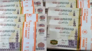 أعلى عوائد ادخارية.. البنك الأهلي يطرح شهادات بفائدة 22% وسط تراجع سعر الدولار